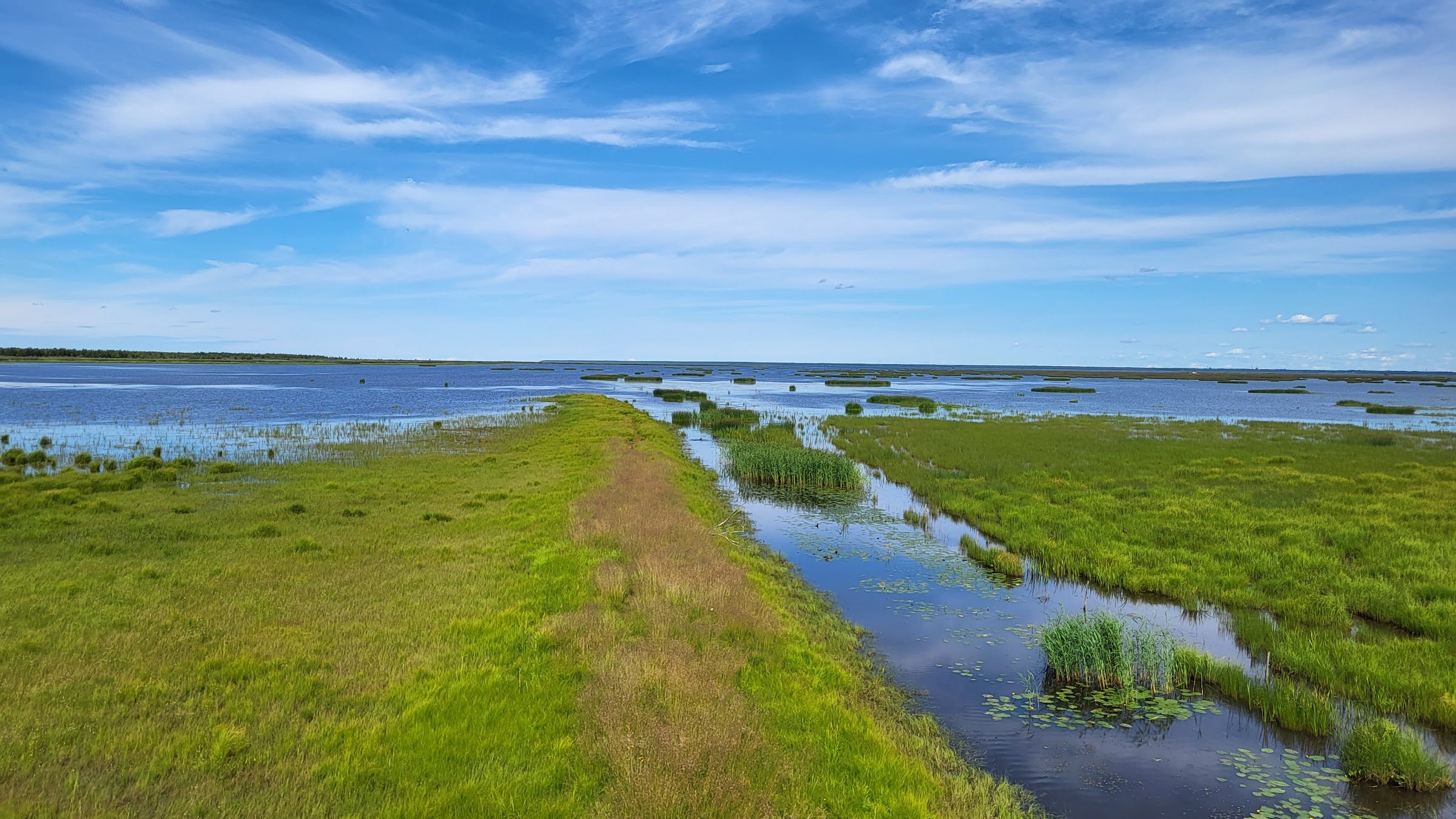 Liminganlahden luontokeskus (Liminka Bay Nature Centre)